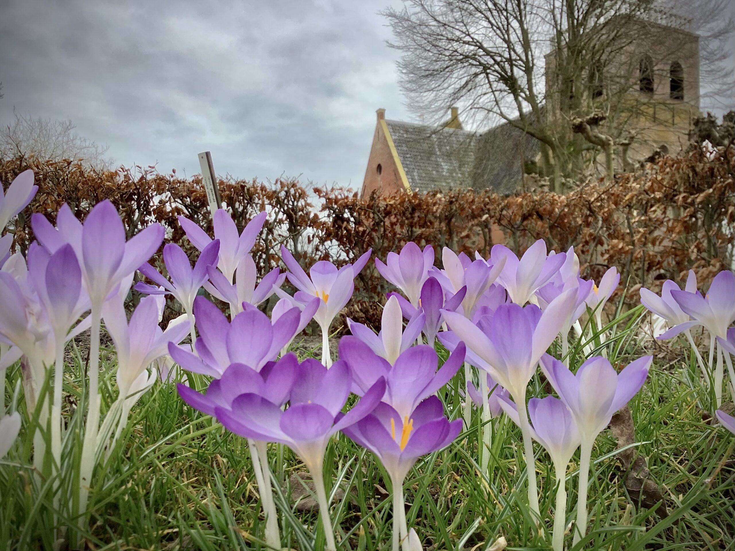 20210224_123615_1B01CABC